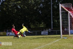 54681543704_37ff54fdbf_b